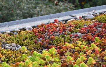 the cost of Grishipoll green roof installation