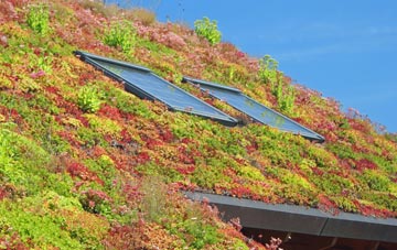 Grishipoll living roof systems