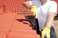 Grishipoll roof cleaners